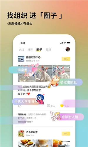 奶酪社交图5