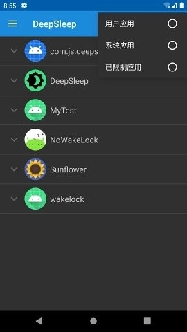 DeepSleep图1