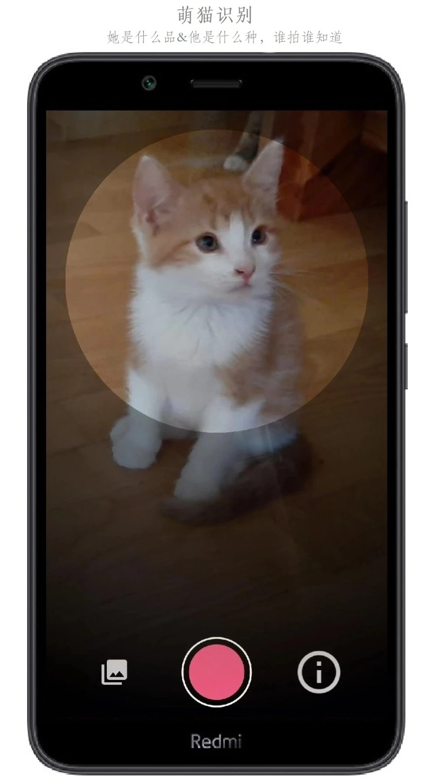 万物识别手机版图1