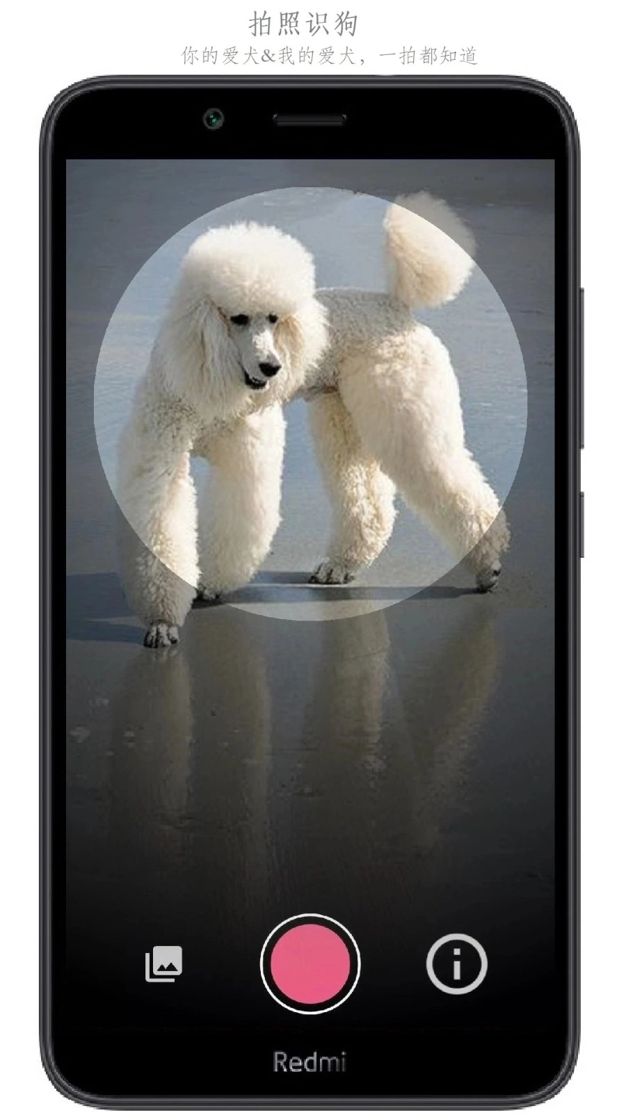 万物识别手机版图3