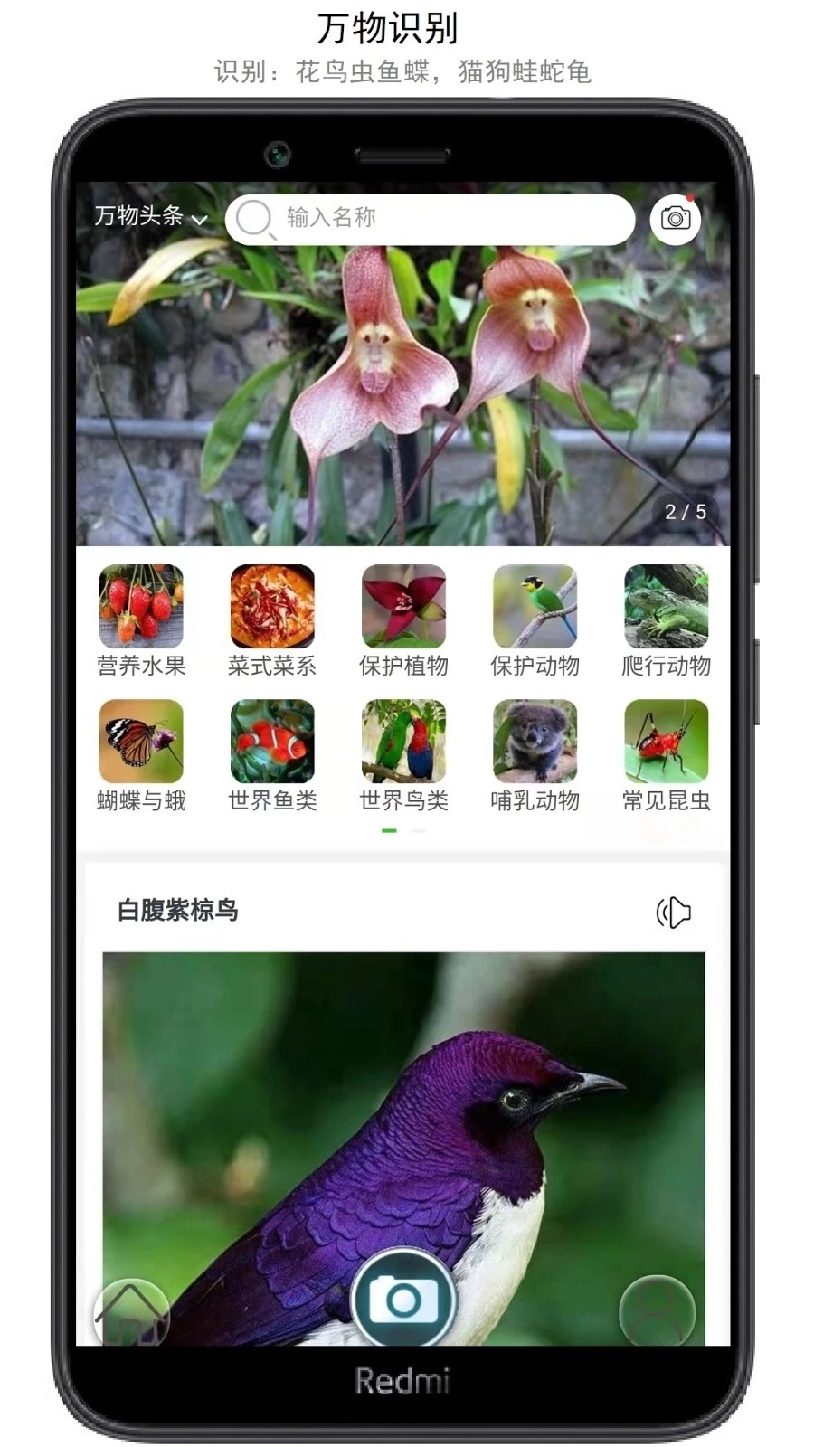 万物识别手机版图5