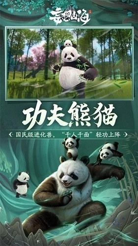 妄想山海国际版