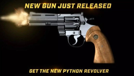 真实枪械2专业版图2