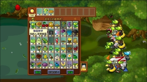 植物大战僵尸冒险时空支线2(1)