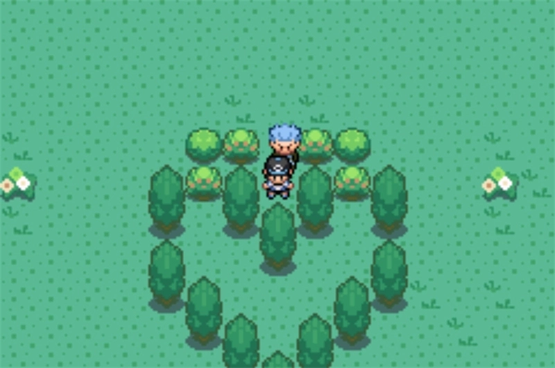 口袋妖怪日月宝石(2)