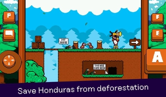 最后的金刚鹦鹉(2)