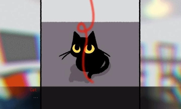 别带这只猫回家(3)