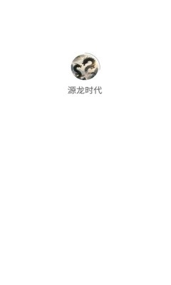 源龙时代(4)