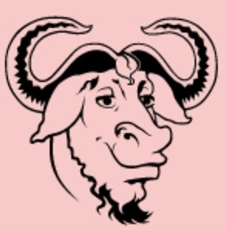 牛头环境检测 v6.5.7