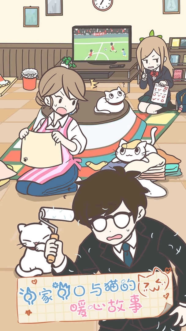 猫咪饲养日常图4