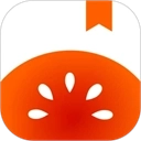 番茄免费阅读小说