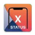X-Status