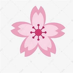 樱花动漫手机版