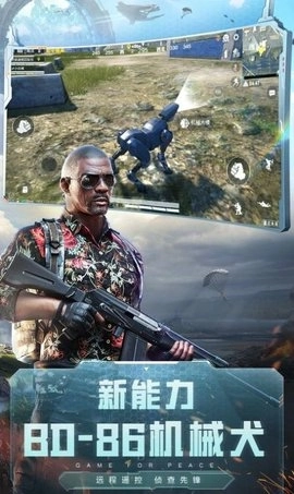 和平精英赏金赛(2)