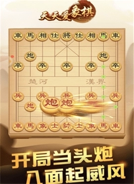 天天爱象棋