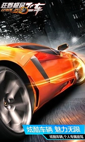 狂野极品飞车(2)