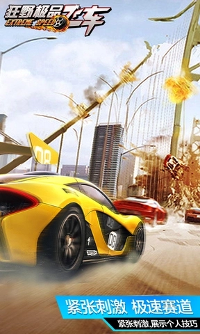 狂野极品飞车(3)