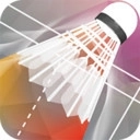 真人羽毛球3D v1.0.3