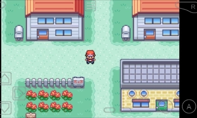 口袋妖怪火红白金版