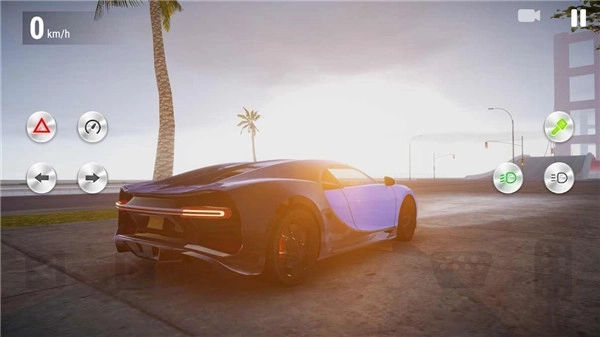 真实驾驶学校汉化版图2