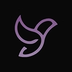 隐私浏览器正版