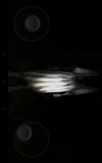 恐怖森林汉化版