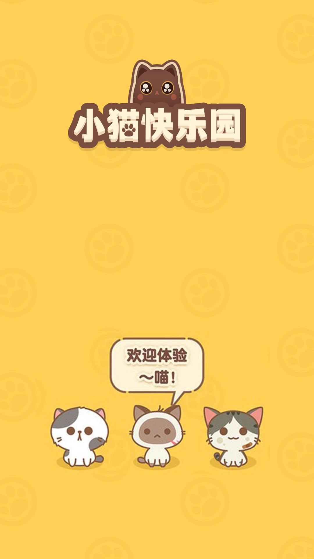 小猫快乐园(1)