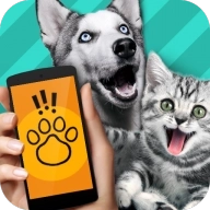 pet translator软件