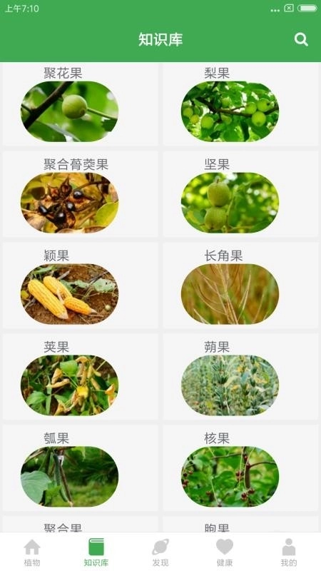 植物百科图2