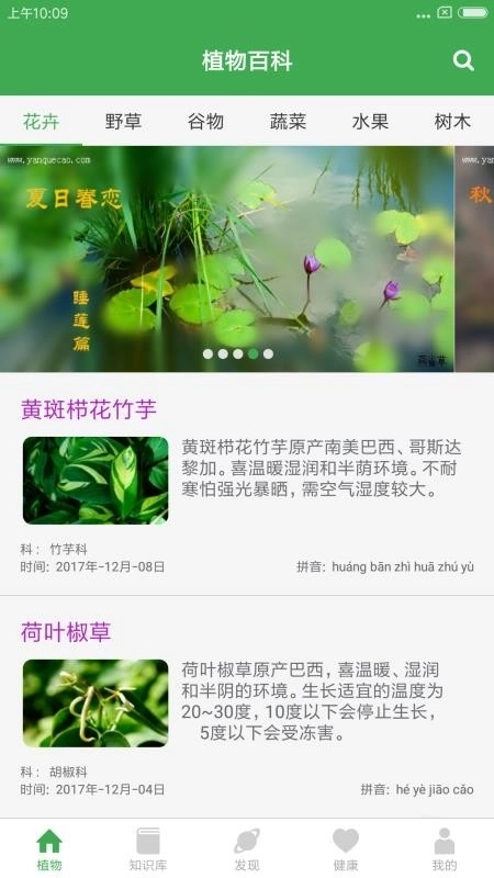 植物百科图4