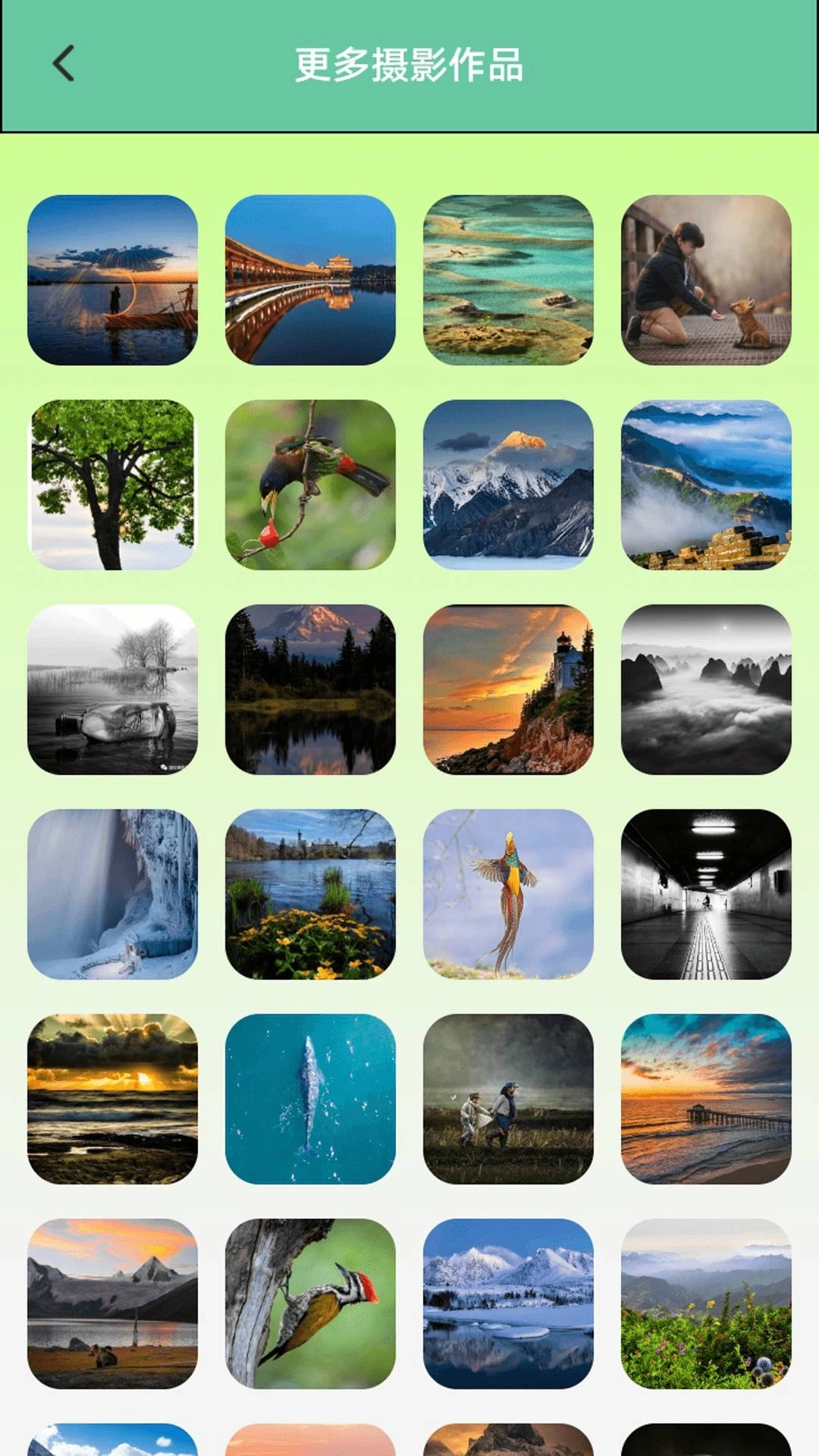 爱贴纸大作战图3