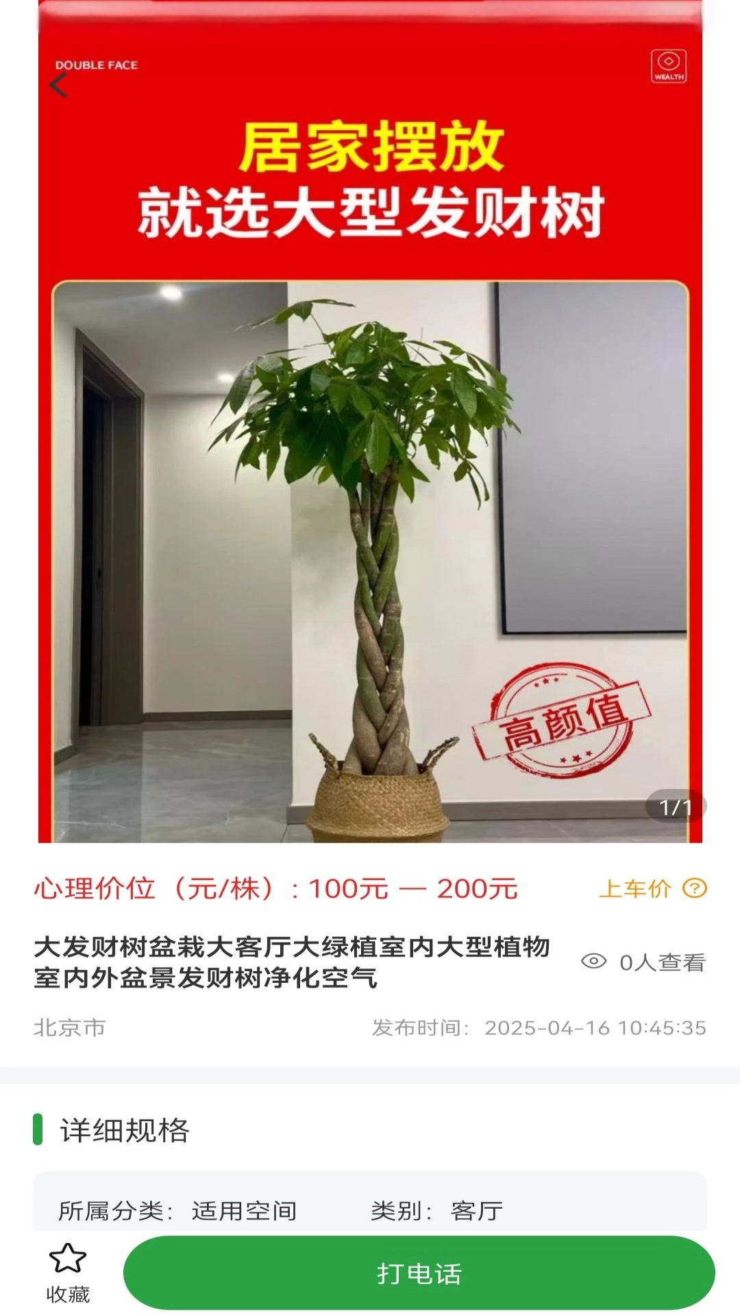苗木嘉(1)
