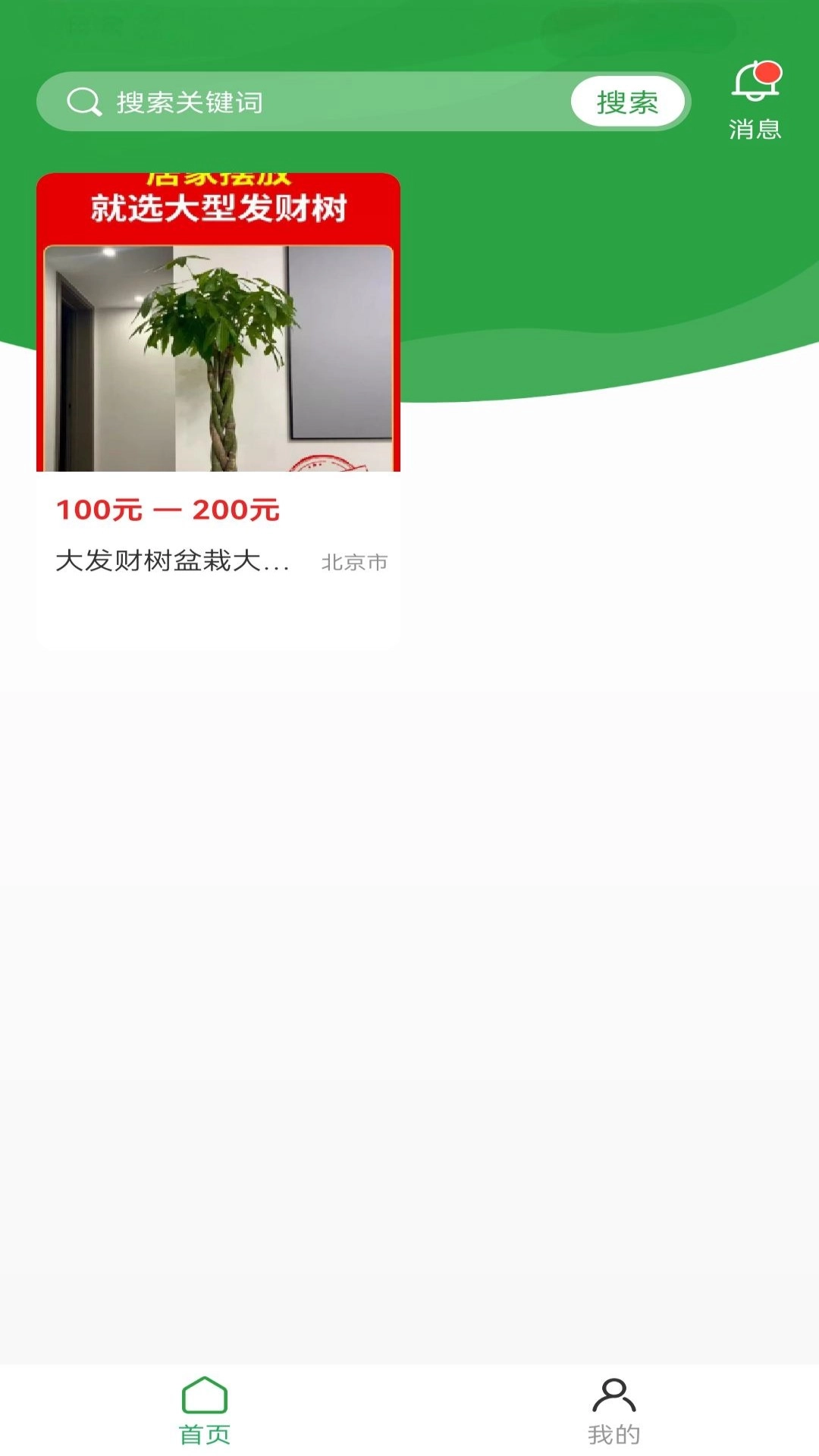苗木嘉(4)