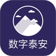数字泰安