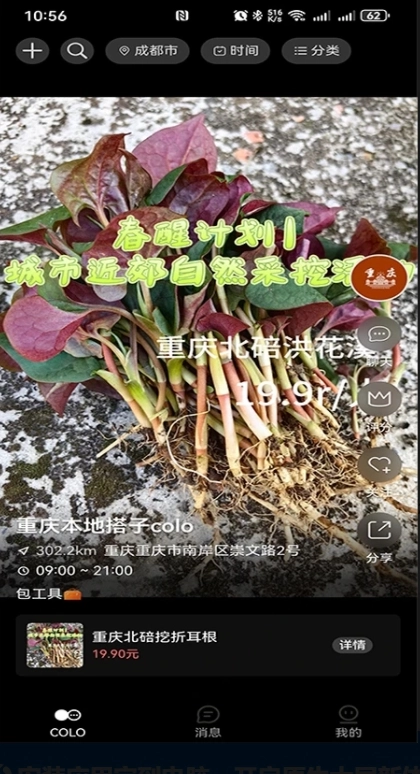 搭子Colo(2)