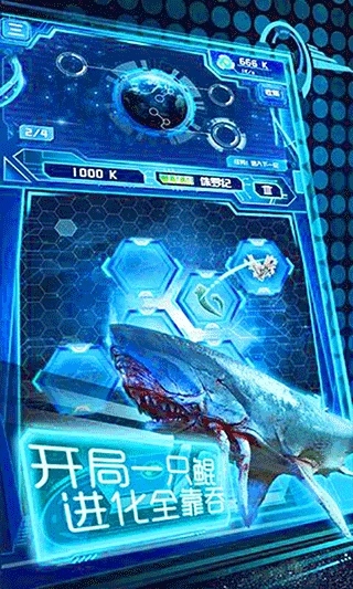 养鲲进化新物种(3)