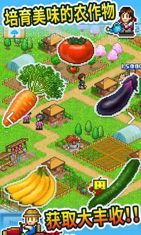 晴空农场物语图2