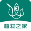 眼香