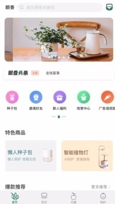 眼香图1