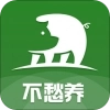 不愁养猪