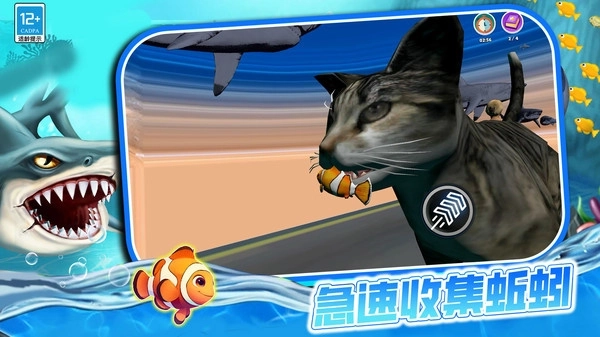 这一关稳赢游戏图4