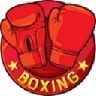 Boxing游戏