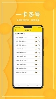 西瓜虚拟网络电话