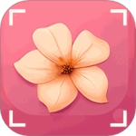 识花君植物识别 V3.9.0