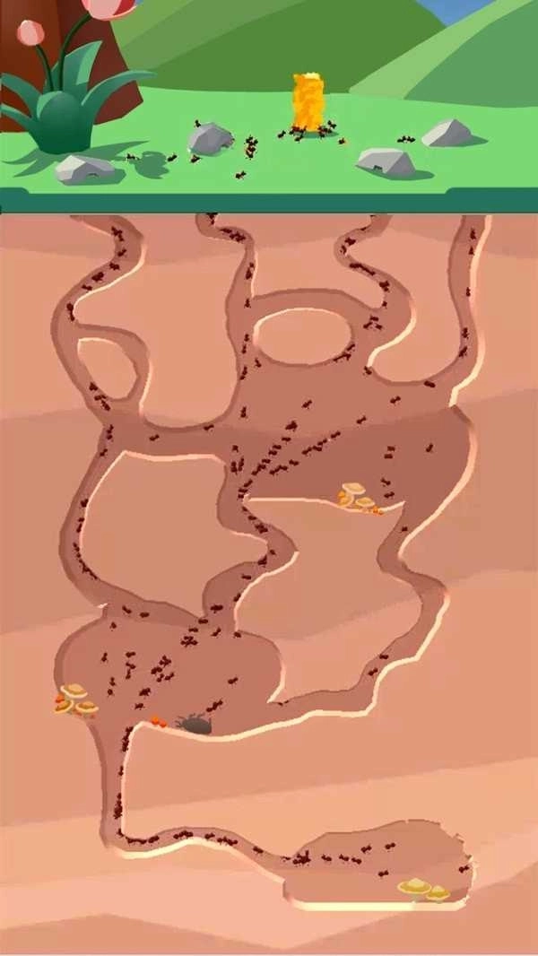 蚂蚁地下王国中文版