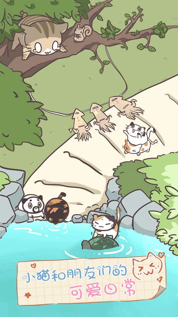 猫咪饲养日常图3