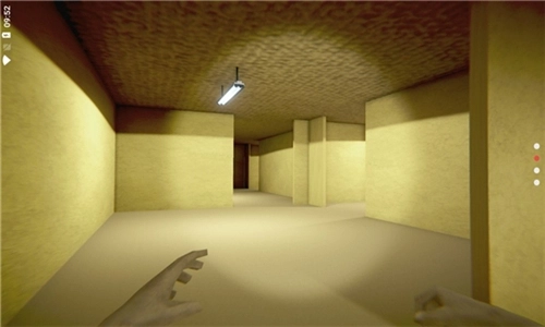 后室肌肉柴犬(4)