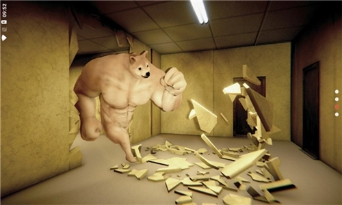 后室肌肉柴犬(2)