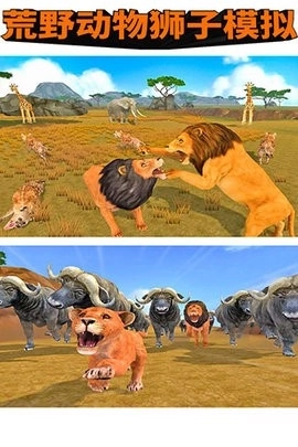 荒野动物狮子模拟最新版(3)