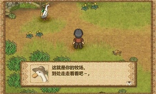 欢迎来到绵羊村图3